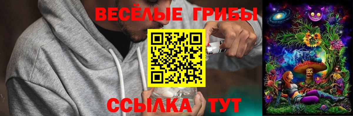 Сосновоборск  Галлюциногенные грибы мицелий  даркнет сайт  Вход с VPN  Псилоцибиновые грибы Cubensis 